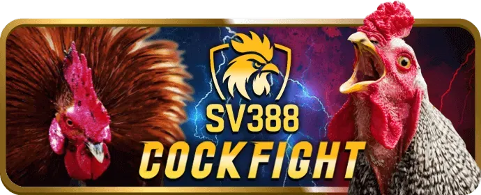 Giấy phép hoạt động 898bet link vào